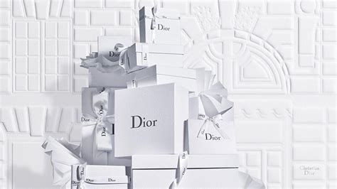 dior brand shoes|dior official online store.